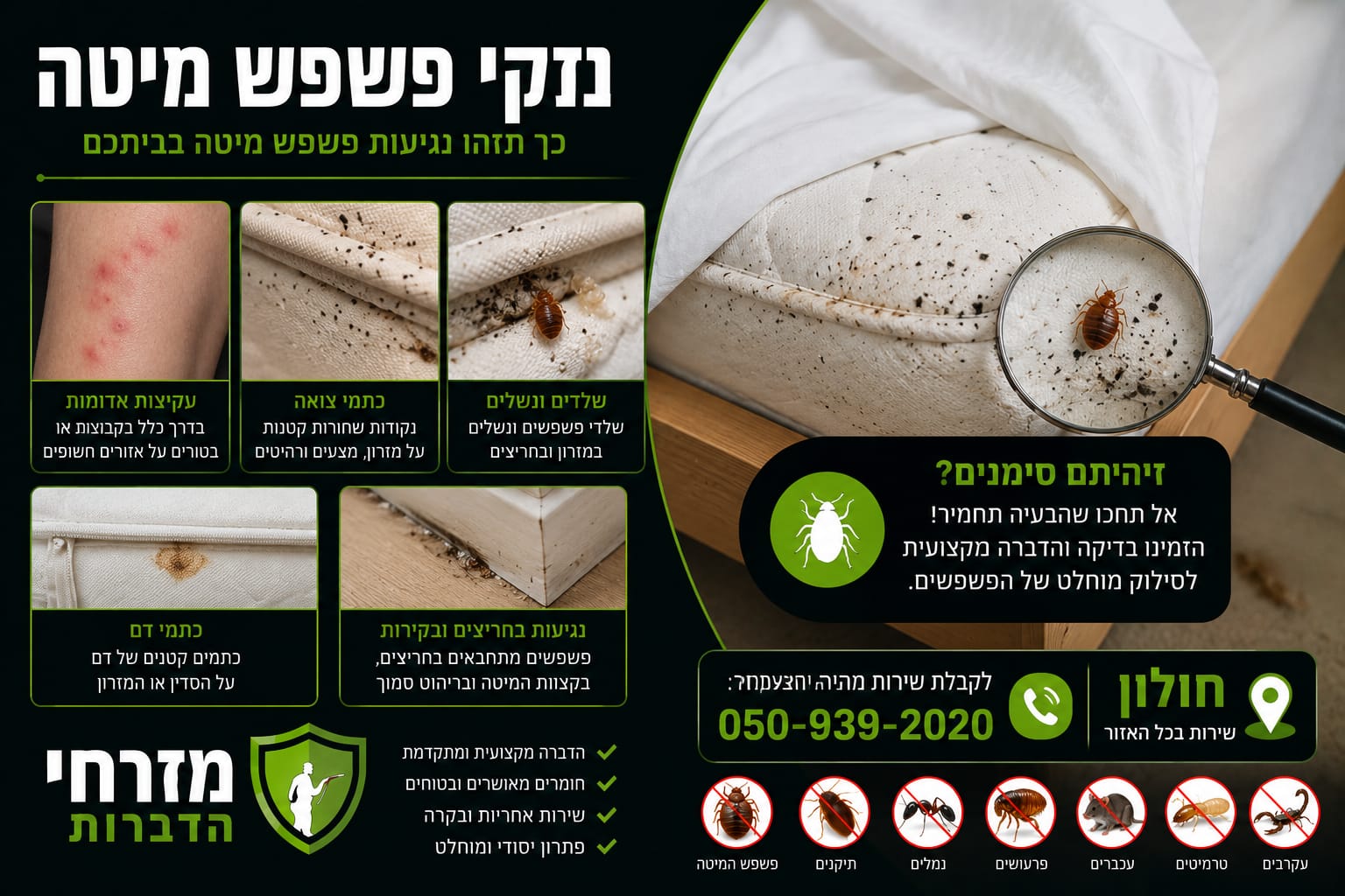 סימני פשפש מיטה - זיהוי ואבחון מקצועי