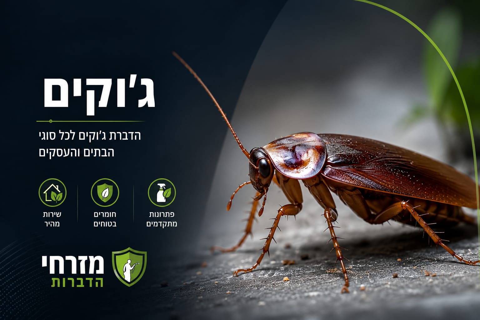 הדברת ג'וקים לכל סוגי הבתים והעסקים – מזרחי הדברות
